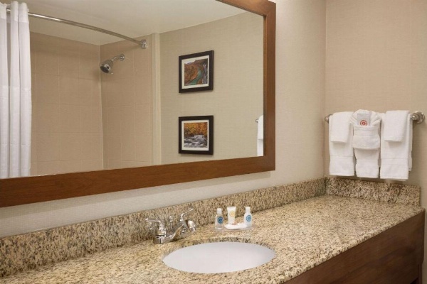 Comfort Inn & Suites Presidential image 18